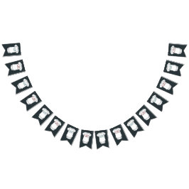 Kute Gender Reopenbaarings Party Bunting Flags Vlaggetjes