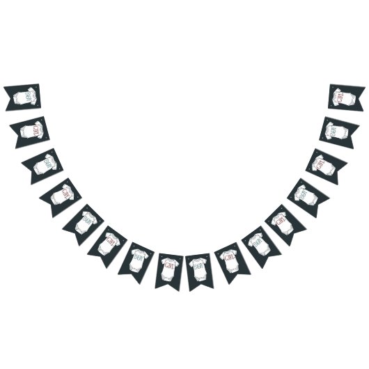 Kute Gender Reopenbaarings Party Bunting Flags Vlaggetjes (Alle)