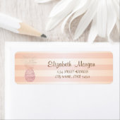 Kute Girly Striped, Pineapple Address Label (Insitu)