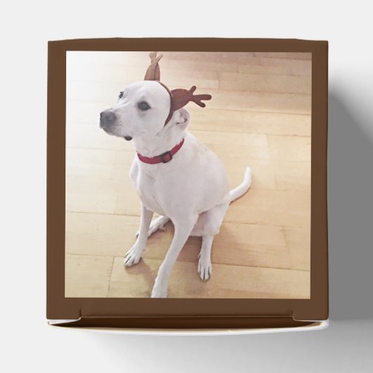 Kute glimlach White Reindeer Dog Kerstbruin Bedankdoosjes (Bovenkant)