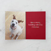 Kute glimlach White Reindeer Dog Kerstmis Feestdagen Kaart (Binnen)