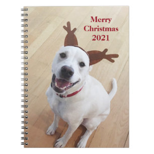 Kute glimlach White Reindeer Dog Kerstmis Notitieb Notitieboek