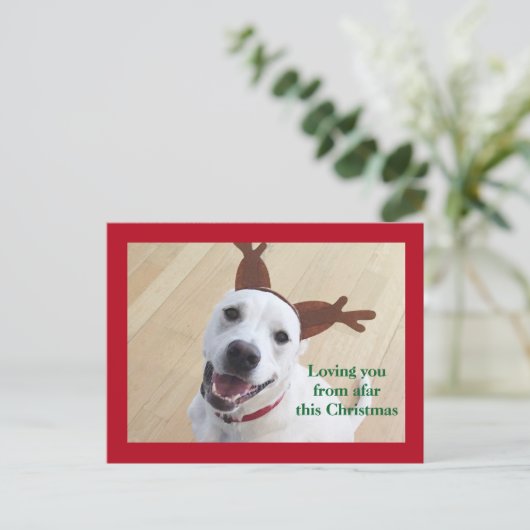 Kute glimlach White Reindeer Dog Red Kerstmis Briefkaart (Staand voorkant)
