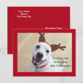 Kute glimlach White Reindeer Dog Red Kerstmis Briefkaart (Voorkant / Achterkant)