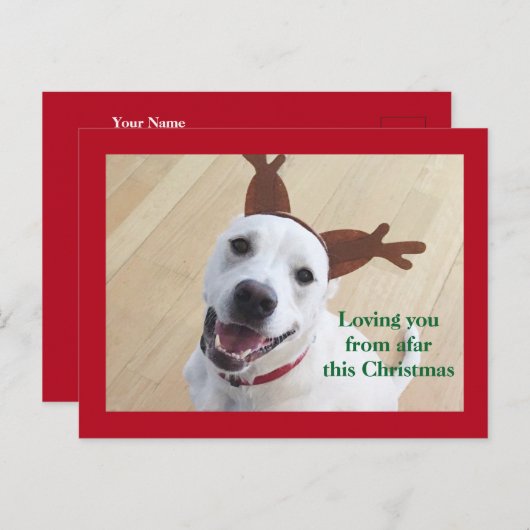 Kute glimlach White Reindeer Dog Red Kerstmis Briefkaart (Voorkant / Achterkant)