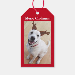 Kute glimlach White Reindeer Puppy Dog Kerstmis Cadeaulabel