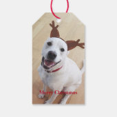 Kute glimlach White Reindeer Puppy Dog Kerstmis Cadeaulabel (Achterkant)