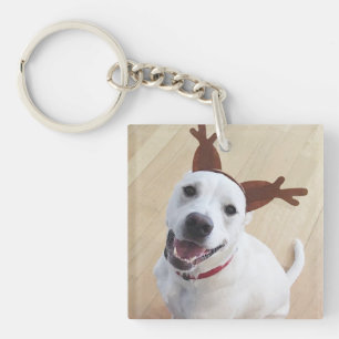 Kute glimlach White Reindeer Puppy Dog Kerstmis Sleutelhanger