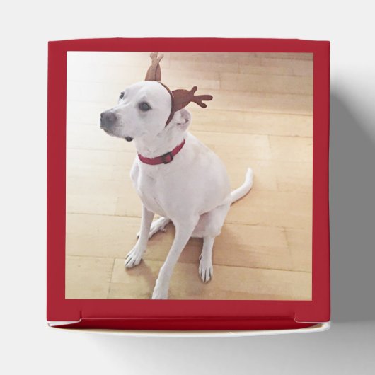 Kute glimlachende witte rendierhond kerstrood bedankdoosjes (Bovenkant)