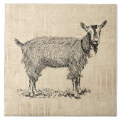 Kute Goat met Bell Illustration Antiek Script Tegeltje (Voorkant)