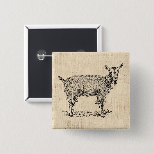 Kute Goat met Bell Illustration Antiek Script Vierkante Button 5,1 Cm (Voorkant /achterkant)