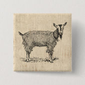 Kute Goat met Bell Illustration Antiek Script Vierkante Button 5,1 Cm (Voorkant)