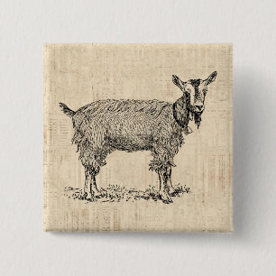 Kute Goat met Bell Illustration Antiek Script Vierkante Button 5,1 Cm