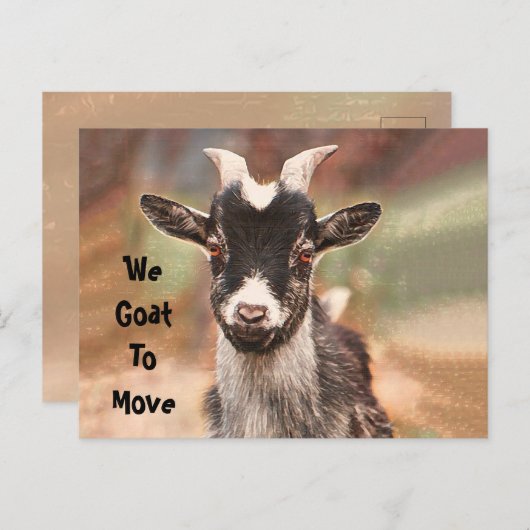 Kute Goat Moving New Address Aankondigingskaart (Voorkant / Achterkant)