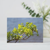 Kute green branch in wind (Staand voorkant)