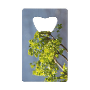 Kute green branch in wind creditkaart flessenopener