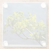 Kute green branch in wind glazen onderzetter (Achterkant)