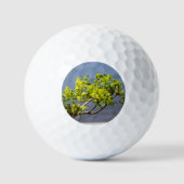 Kute green branch in wind golfballen (Voorkant)
