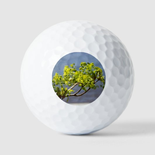 Kute green branch in wind golfballen (Voorkant)