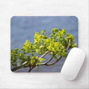 Kute green branch in wind muismat