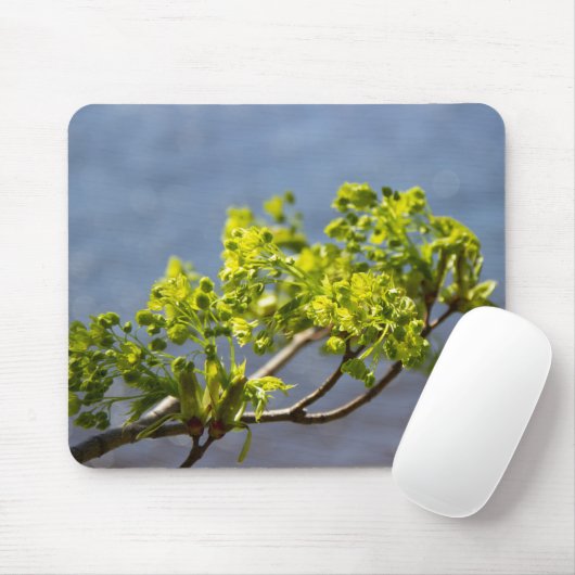 Kute green branch in wind muismat (Met muis)