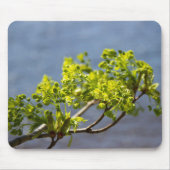 Kute green branch in wind muismat (Voorkant)