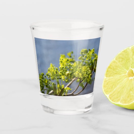 Kute green branch in wind shot glas (Voorkant)