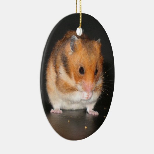 Kute Hamster-sierplant Keramisch Ornament (Rechts)