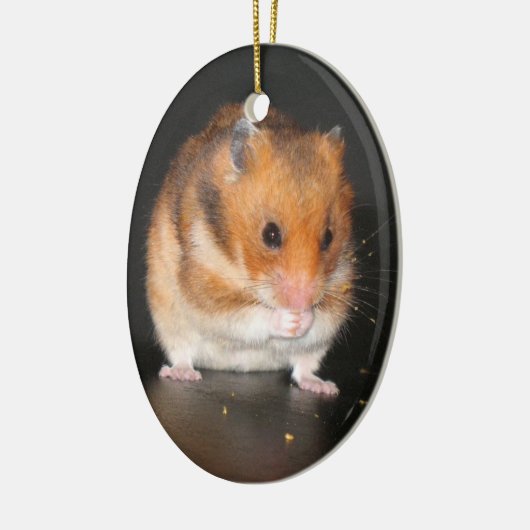 Kute Hamster-sierplant Keramisch Ornament (Links)