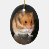 Kute Hamster-sierplant Keramisch Ornament (Voorkant)