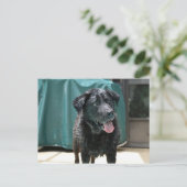 Kute Happy Nat Black Lab Stands op pooldek Briefkaart (Staand voorkant)