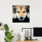 Kute hond op elke kleur achtergrond poster (Thuiskantoor)
