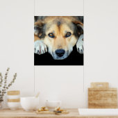 Kute hond op elke kleur achtergrond poster (Keuken)