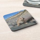 Kute hond op het strand drankjes onderzetter (Linkerzijde)