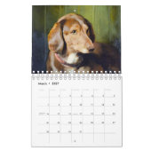 Kute honden en Puppies Kalender (Mar 2027)