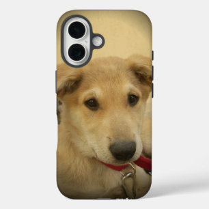 Kute honden en Puppies Mans second Best Friend.png iPhone 16 Hoesje