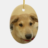 Kute honden en Puppies Mans second Best Friend.png Keramisch Ornament (Voorkant)