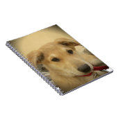 Kute honden en Puppies Mans second Best Friend.png Notitieboek (Rechterzijde)