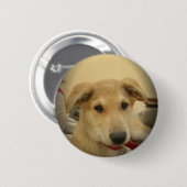 Kute honden en Puppies Mans second Best Friend.png Ronde Button 5,7 Cm (Voorkant /achterkant)