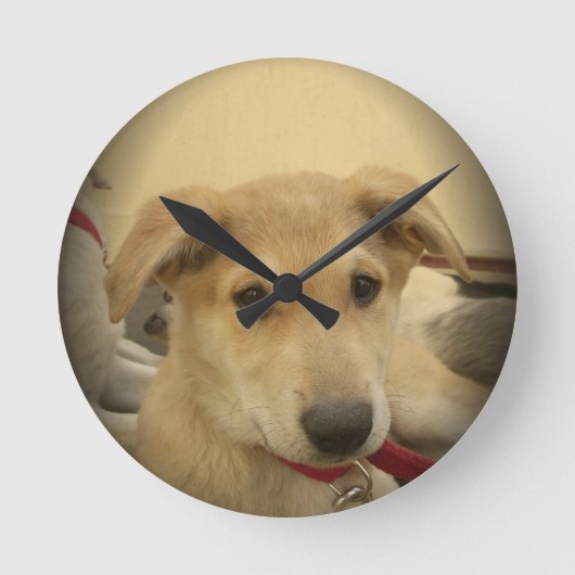 Kute honden en Puppies Mans second Best Friend.png Ronde Klok (Voorkant)