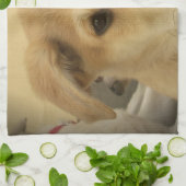 Kute honden en Puppies Mans second Best Friend.png Theedoek (Gevouwen)