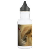 Kute honden en Puppies Mans second Best Friend.png Waterfles (Links)