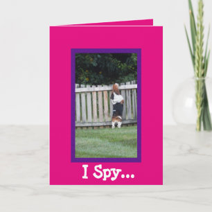 Kute "I Spy"-Birthday-kaart met Basset Hound Kaart