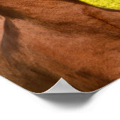 Kute IJslandse paarden die in een lentemaand rondl Poster (Hoek)