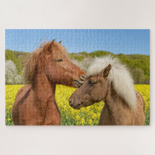 Kute IJslandse paarden die in een lentemelk verker Legpuzzel