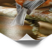 Kute kastanjebruin op de perenboom foto afdruk (Hoek)