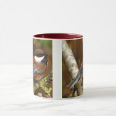 Kute kastanjebruin op de perenboom mok (Midden)