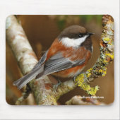 Kute kastanjebruin op perenbomen muismat (Voorkant)