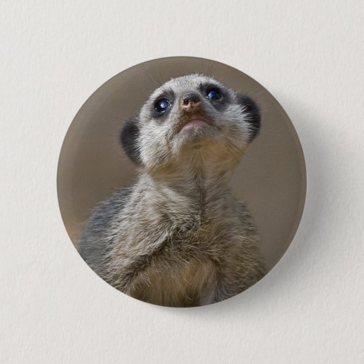 Kute Kat Badge Ronde Button 5,7 Cm (Voorkant)