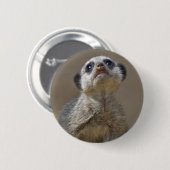 Kute Kat Badge Ronde Button 5,7 Cm (Voorkant /achterkant)